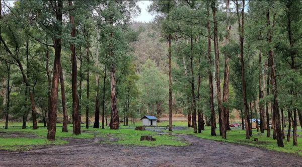 12 Mile Reserve - Free Pet-Friendly Riverside Camping in the High Country