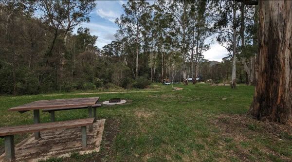 2 Mile Creek Reserve - Free Riverside Camping in the Dargo High Country