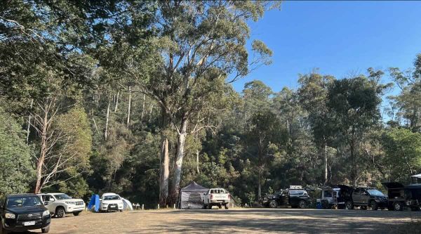 Aberfeldy Bridge Campground - Free 4WD Camping in a Historic Goldfield