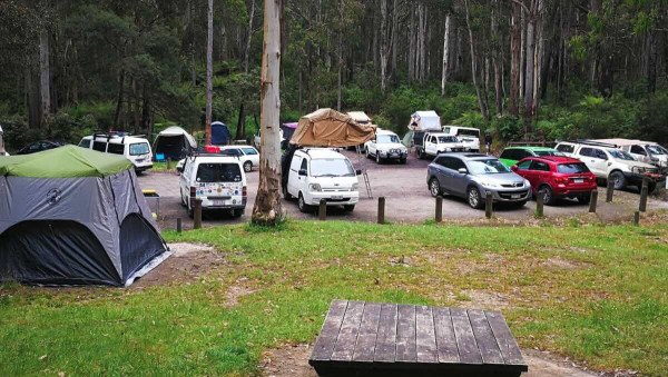 Big Hill Campground, Great Otway National Park Forest Camping near Lorne
