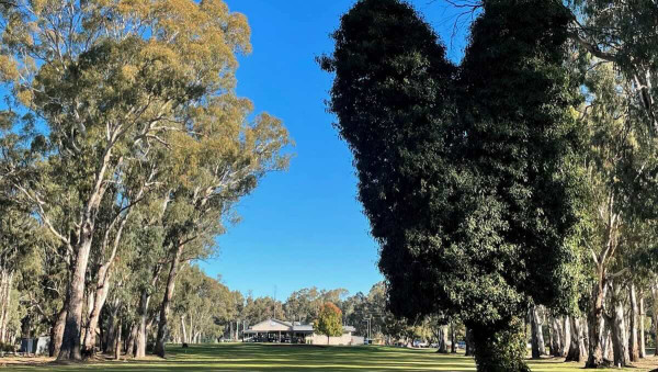Cohuna Golf Club Caravan Park – Premier Murray River Stay & Play Golf