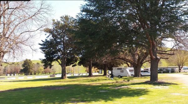 Alexandra Showgrounds - Pet-Friendly Camping near Lake Eildon