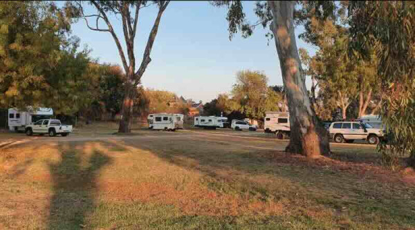 Benalla Showgrounds Affordable Pet-Friendly Camping in Victoria's High Country