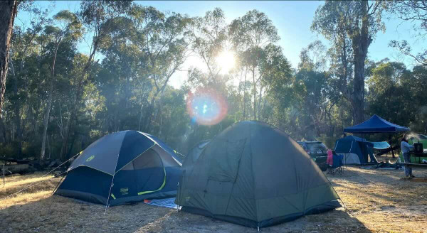 Boreang Campground – Your Shaded Retreat in the Heart of the Grampians