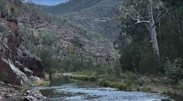 Breakfast Creek Camp Site, Alpine National Park