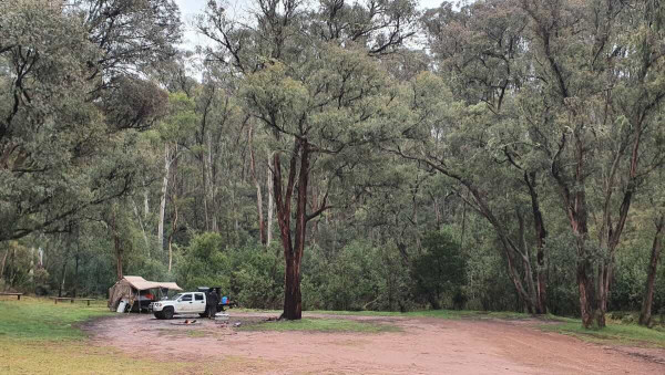 Buttercup 3 Campground, Your Gateway to Alpine Victoria