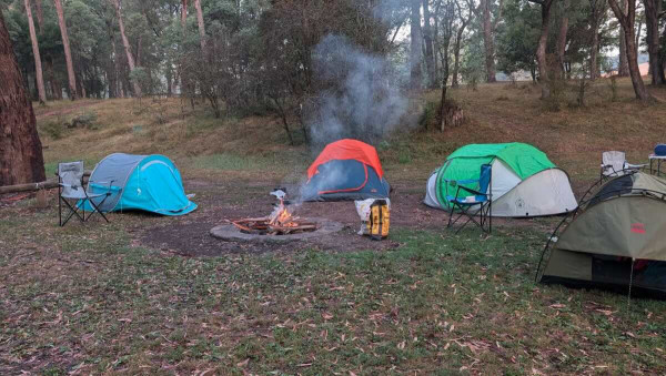 Buttercup 4 Campground, Free Howqua River Camping & High Country Adventure