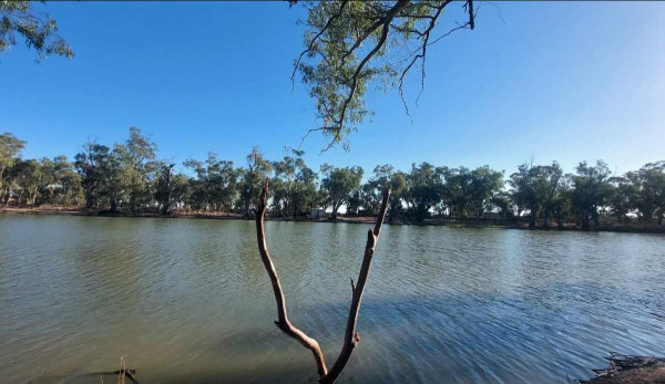Campsite Torrumbarry (Benarca Forest) – Riverside Bush Camping in the Murray Valley Regional Park