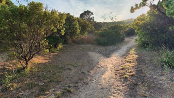 Cape Otway GOW Campsite, Great Ocean Walk Hike-in Camping