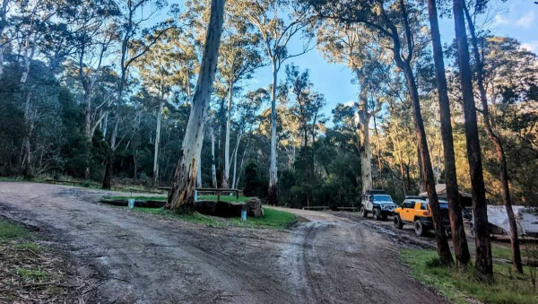 Carters Mill Campground, Free Delatite River Camping Near Mount Buller