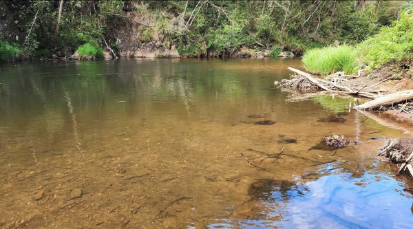 CC Campsite, Knockwood Recreation Reserve