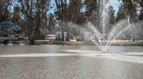 Cohuna Flora Reserve, Free Gunbower Creek Camping & Murray River Base