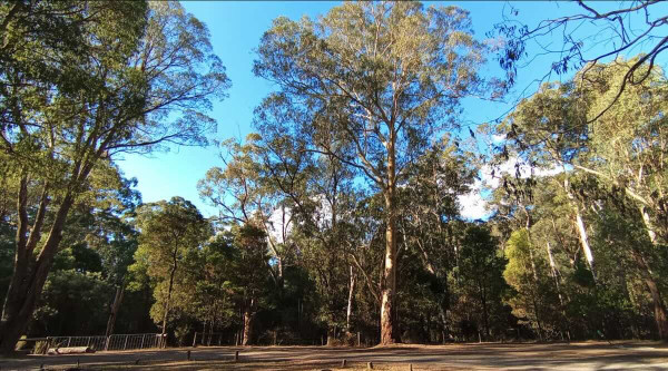 Cooks Mill Campground, Hiking & Camping in the Cathedral Range