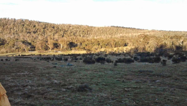 Cowombat Flat Camping – Free Camping near the Source of the Murray River