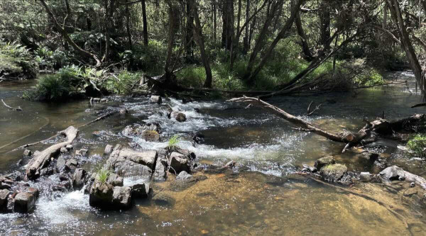 Dairy Flat Camping Ground, Eildon VIC 3713