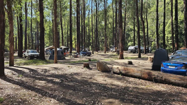 Dando’s Campground, Free Otways Forest Camping & Four-Wheel Driving