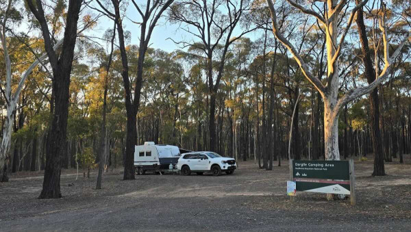 Dargile Campground, Free Camping in Heathcote-Graytown National Park