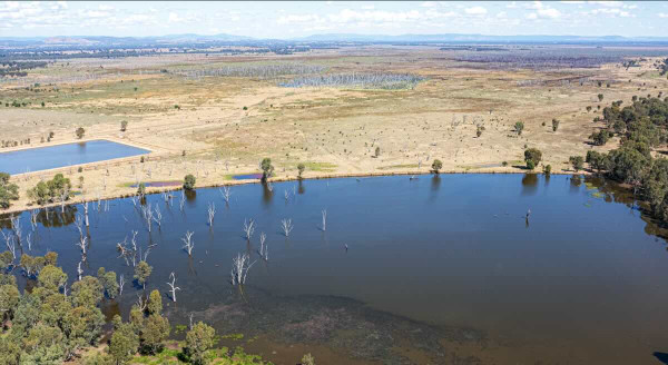 Duck Pond Campground – Free Camping at Winton Wetlands