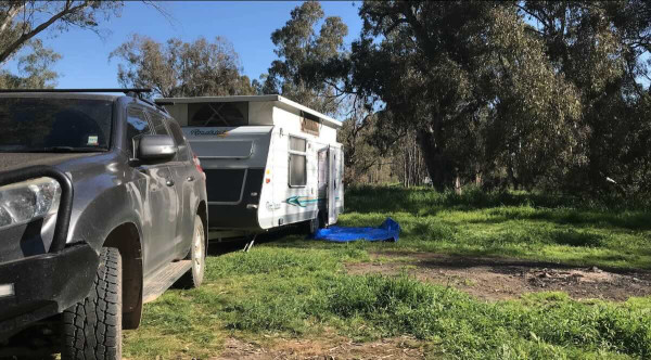 English’s Bridge Campground – Free, Pet-Friendly Camping on the Campaspe River