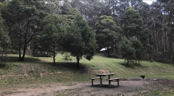 Freemans Camp and Picnic Area, Tallarook State Forest