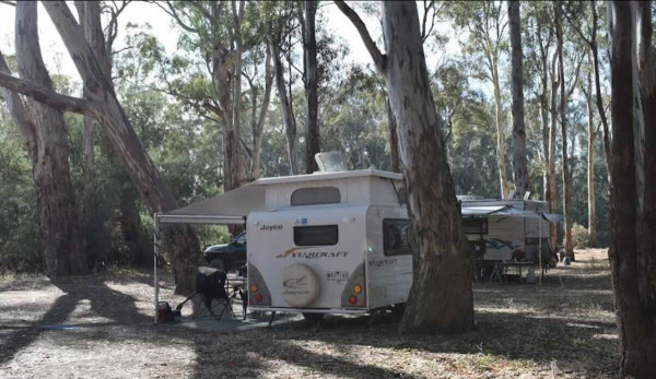 Glenos Camp (Gunbower Forest) – A Hidden Bush Hideaway on the Murray River