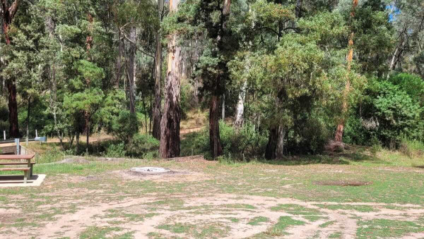 Goldworthys Campground, Free Strathbogie Ranges Forest Camping