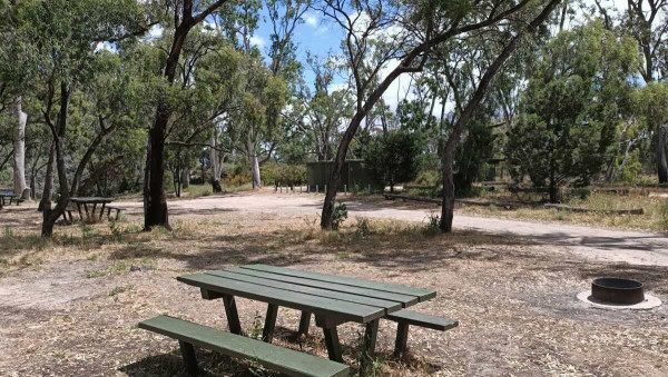 Horseshoe Bend Campground, Wimmera River Camping in Little Desert National Park