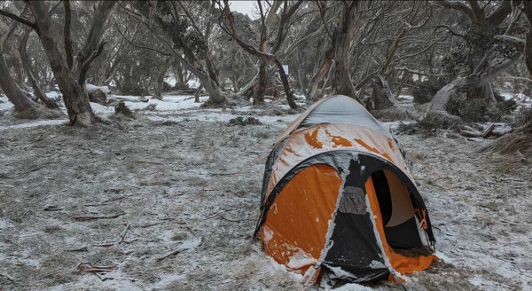 JB Plain Hut Campground – High Country Camping near Dinner Plain
