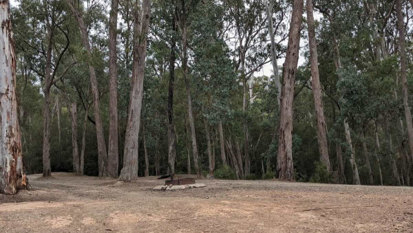 Jerusalem Creek Campground 3, Seasonal Bush Camping at Lake Eildon National Park