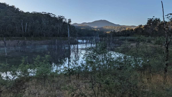 Jerusalem Creek Campground 6, Your Seasonal Bush Camping Getaway at Lake Eildon