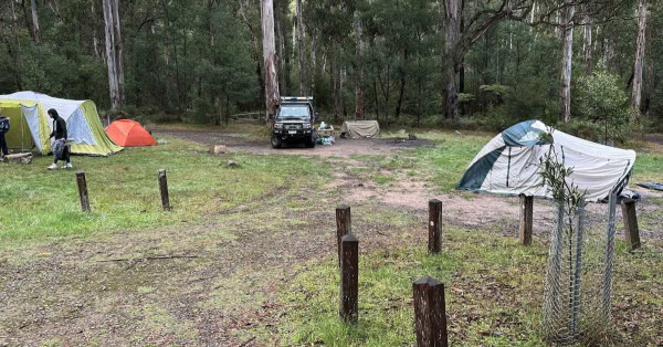 Keppel Creek Camping Area, Rubicon VIC