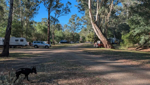 King River Bush Camping (Burrowes Rd), Free High Country Camping Near Cheshunt