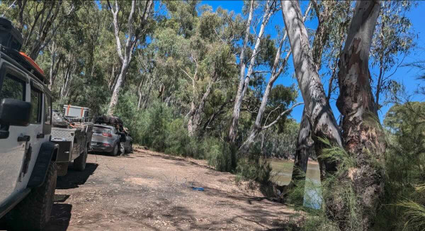 Koondrook State Forest, Free, Pet-Friendly Camping on the Murray River
