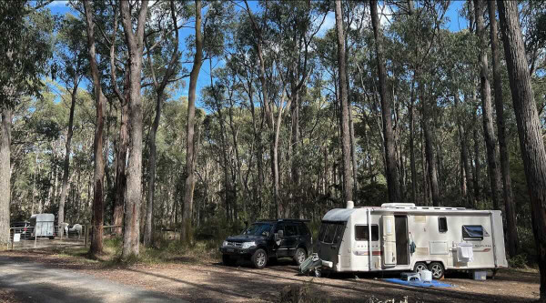 Kurth Kiln Scout Loop Campground, Historic Free Camping near Gembrook