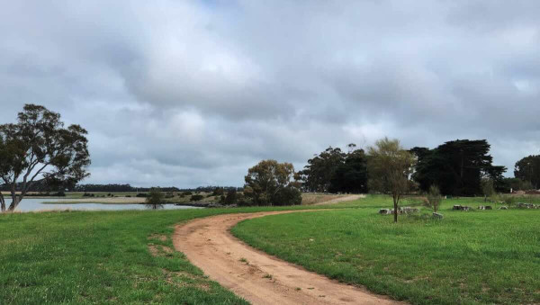 Lake Bolac Camping, Free Lakeside Camp on Victoria’s Volcanic Plains