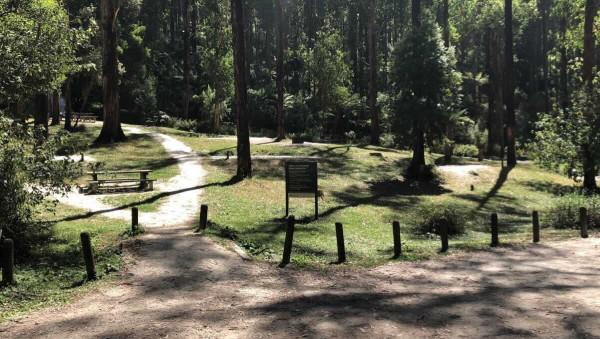 Lake Elizabeth Campground, Otways Platypus & Rainforest Camping