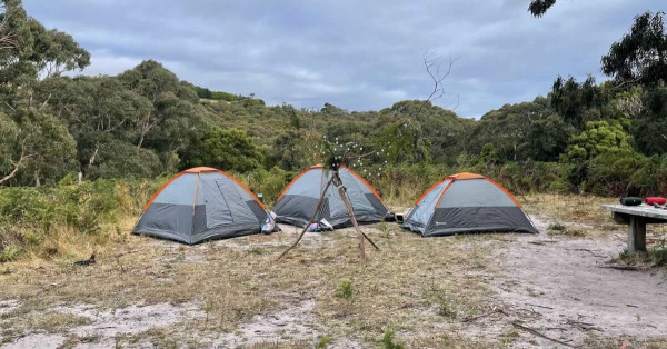 Lightwood Creek Camping Area, Cape Schanck VIC