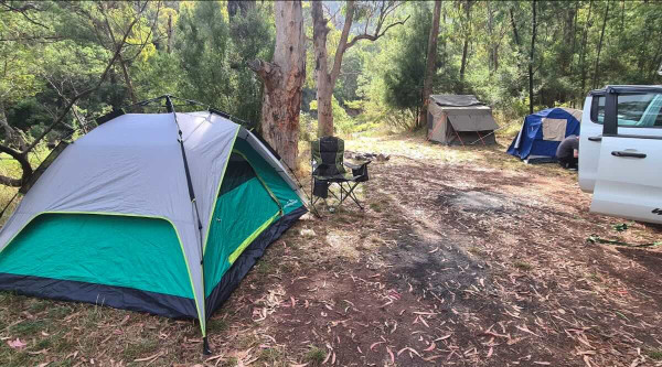 Manna Gum Campsite 7, Wellington River