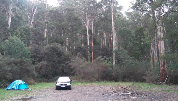 Married Man’s Camping Ground – Free Secluded Camping near Strath Creek, VIC