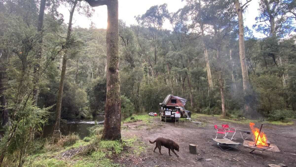 McClelland Campground – Free Goulburn River Camping in the High Country