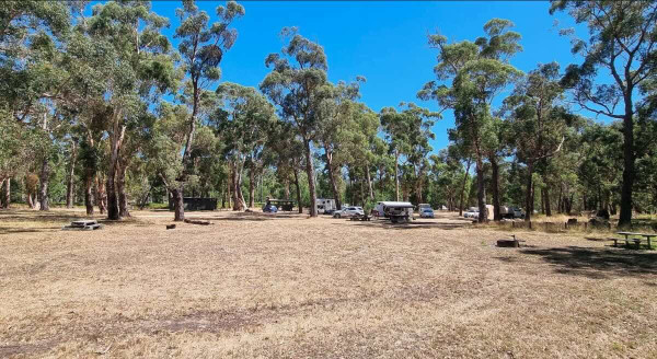 Middle Creek Camping Area – Free Camping near Beaufort