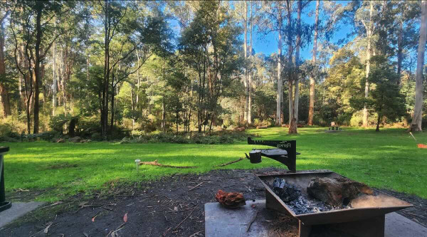 Mortimer Picnic Ground, A Tranquil Day-Use Area in Bunyip State Park