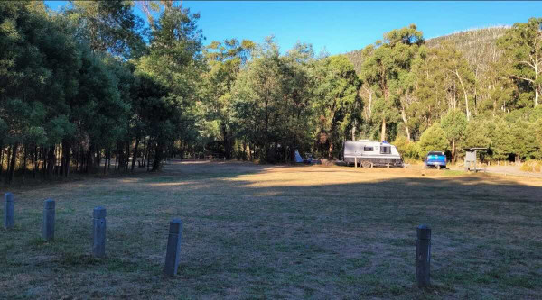 Murrindindi Scenic Reserve, Toolangi State Forest