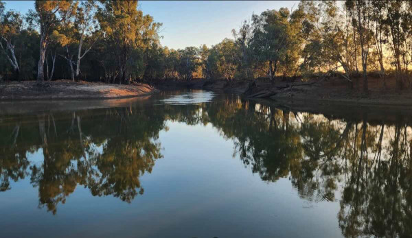 Murrumbidgee Junction Reserve – The Ultimate Bush Camping Experience at Boundary Bend