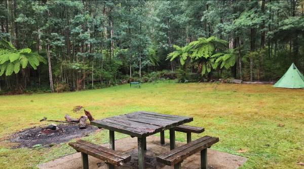 Nash Creek Campground, Free 4WD Camping Near Freemans Mill in Bunyip State Park