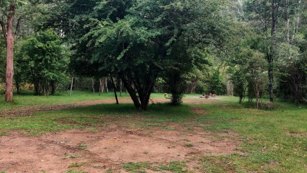 New Chum Flat Free Camping, Buckland VIC