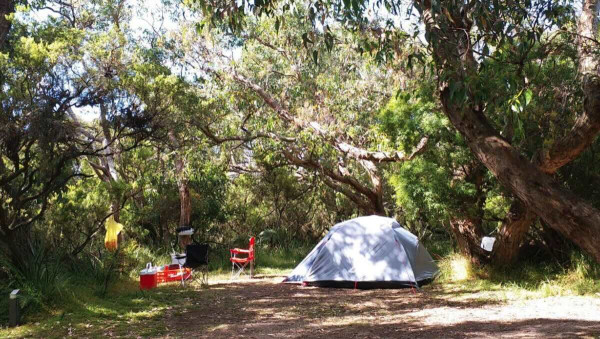 Parker Hill Campground, Secluded Great Ocean Road Coastal Camping