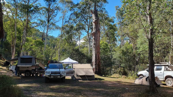 Pineapple Flat Campground, Free Howqua River Camping & High Country 4WD Adventure