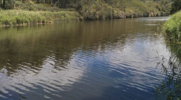 Pines Landing Camping Area (Glenelg River) VIC