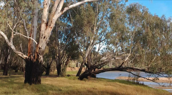 Pump Beach Free Camping, Ulupna VIC